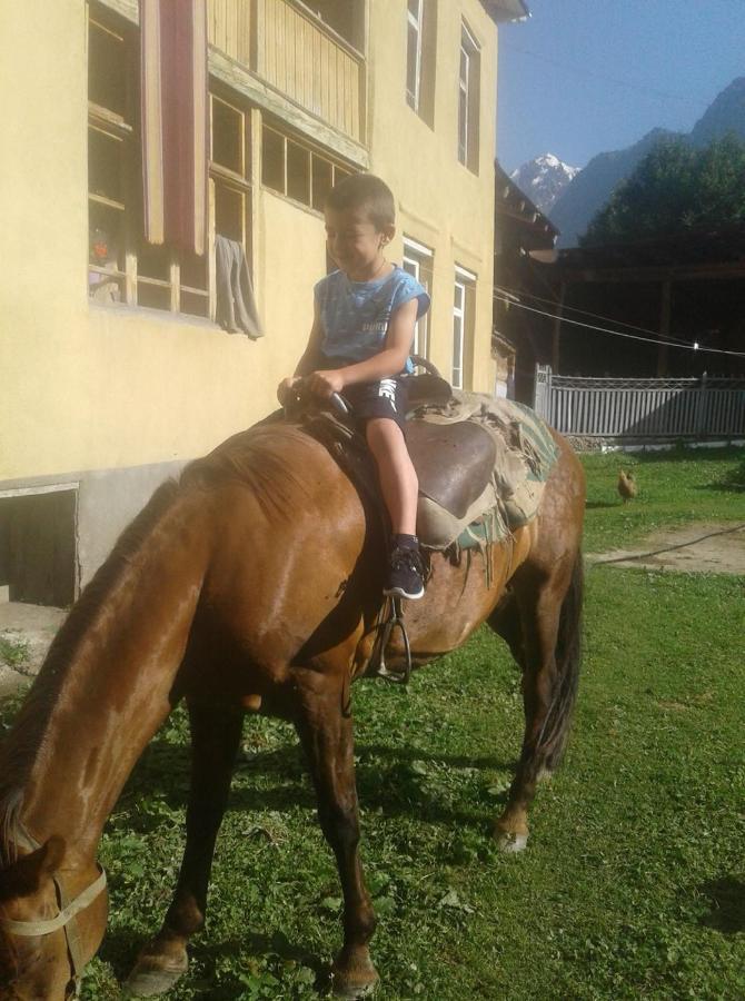 Lia Jamdeliani Guest House Bagvdanari Kültér fotó